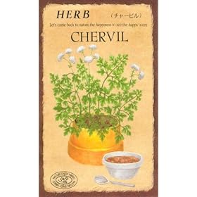 �y��q�z�`���[�r�� [0814]
