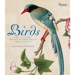Birds: Mini Edition: The Art of Ornithology