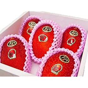 �y���������z�y���ʌ���z �{�茧�Y�@���z�̃^�}�S�i5�ʓ��E��2kg�j