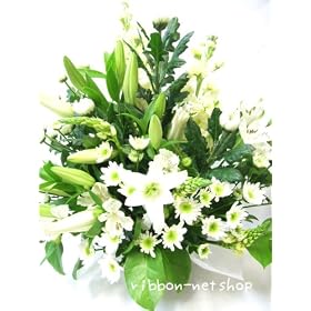 �y�@�v�z�y�����z���������̂��ԁ��t�����[�A�����W�����g�i���ԁjFL-OS-01