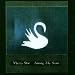 Among My Swan