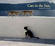 Cats in the Sun 2009 Wall Calendar
