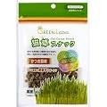 GREEN Labo. �L���X�i�b�N