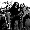 Immortal点の画像