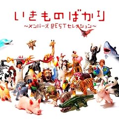 Members Best Selection