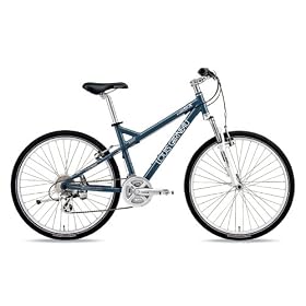 2010�\����T�t�y���C�K�m�z�iLGS-SIX) �}�E���e���o�C�N 470mm �u���[
