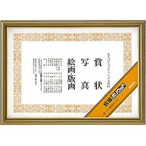 【クリックで詳細表示】コクヨS＆T 額縁 (ポリウッド) ガラスの厚み2mm ひも・ひも止め金具・額吊り金具付 B4 カ-1