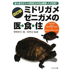 �~�h���K���A�[�j�K���̈�E�H�E�Z�\�ł��g�߂ȃJ���̎���@�����S�ԗ����������!!
