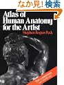 Atlas of Human Anatomy for the Artist (Galaxy Books)