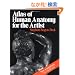 Atlas of Human Anatomy for the Artist (Galaxy Books)
