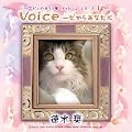 Pure Voice ~�����炠�Ȃ��� ������