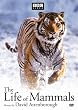 Life of Mammals 1-4 [DVD] [Import]