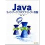 Java�l�b�g���[�N�v���O���~���O�̐^��