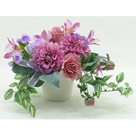 �y���G�}�z�R���v�\�X �t�����[�A�����W,���蕨,�M�t�g,��̓�,�V�z�j,�J�X�j,�a����,�L�O��,���Ǝ�,���w��