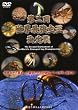���� ���E�ŋ���������� [DVD]