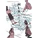 HLA�̕s�v�c (YUHISHA Best Doctor Series)