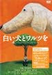 �������ƃ����c�� [DVD]