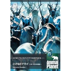アニマル・プラネット 小さなトナカイ ~オーロラの奇跡~