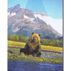 A Magazine [Belgium] No. 11 2012 (�P��)