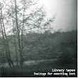 Feelings for Something Lost
