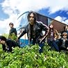 SOUL FLOWER UNION点の画像