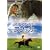 �}�C�E�t�����h�E�t���b�J (���ʕ�) [DVD]