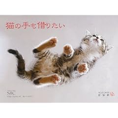 �L�̎���؂肽��
