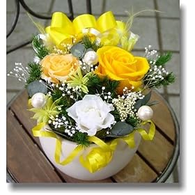 �܂邢��̃v���U�[�u�h�t�����[�i�C�G���[�j
