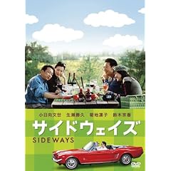 �T�C�h�E�F�C�Y (���ʕ�) [DVD]