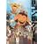 �S�R���؃N���[�g (�ʏ��) [DVD]