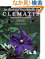 An Illustrated Encyclopedia of Clematis