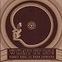 What It Is! Funky Soul and Rare Grooves