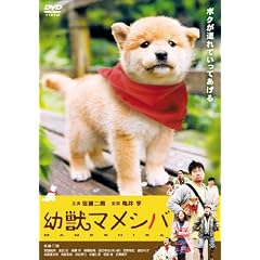 �f��� �c�b�}���V�o [DVD]