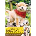 �f��� �c�b�}���V�o [DVD]