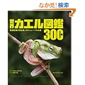 ���E�J�G���}��300��