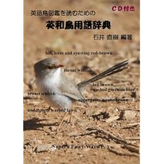 �p�꒹�}�ӂ�ǂނ��߂̉p�a���p�ꎫ�T