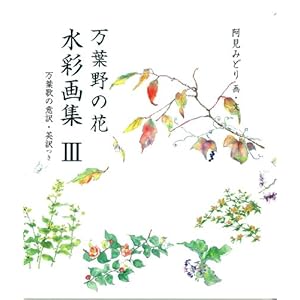 ���t��̉Ԑ��ʉ�W�\���t�̂̈Ӗ�E�p��� (3) (��̏����E�A�[�g�M�������[)