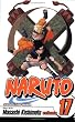 Naruto, Vol. 17 (Naruto (Graphic Novels))