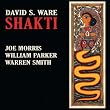 Shakti (Dig)