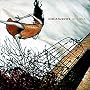 Juturna