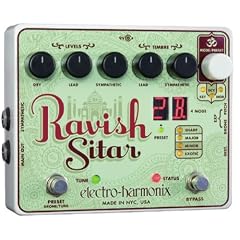 Ravish Sitar
