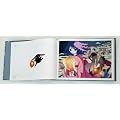 XXXHOLIC DVD-BOX ��