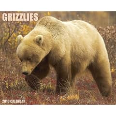 Grizzlies 2010 Calendar
