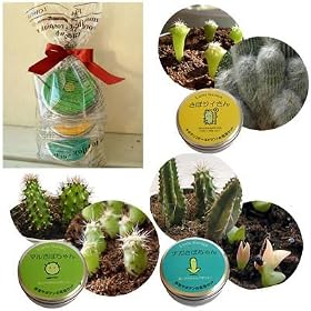 [�ʂň�Ă�V���[�Y]�T�{�e���͔̍|�Z�b�g�F�i�K���ڂ����E�}�����ڂ����E���ڃW�C����3�ʃZ�b�g