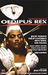 Oedipus Rex [DVD] [Import]