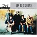 20th Century Masters - The Millennium Collection: The Best of Gin Blossoms