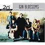 20th Century Masters - The Millennium Collection: The Best of Gin Blossoms