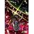 �������уG�E���J�Z�u�� �|�P�b�g�����ł����ς� [DVD]