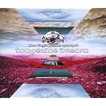 THE VIRGIN YEARS: 1974-1978