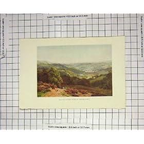 �F���̒��߂̒J�� Albury St. �}�[�T�̋u